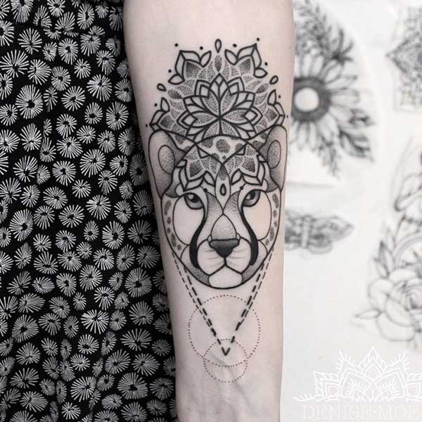 com lobo com lobo
