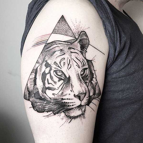 animais reis animais reis
