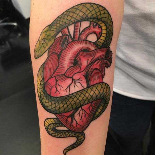 com serpente 2