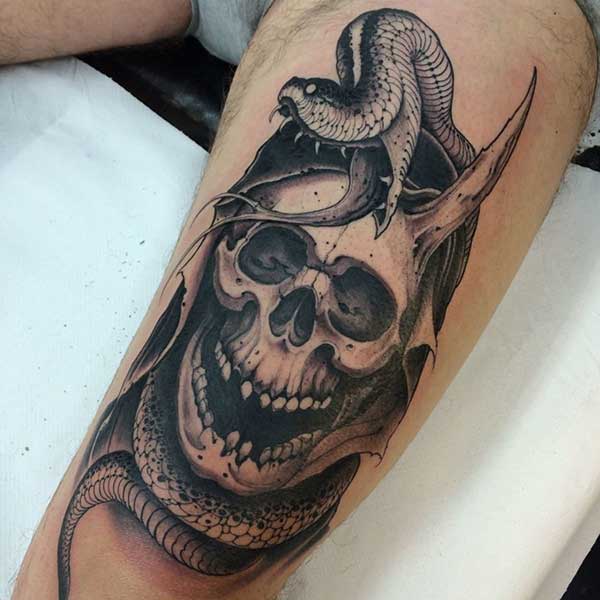 com serpente