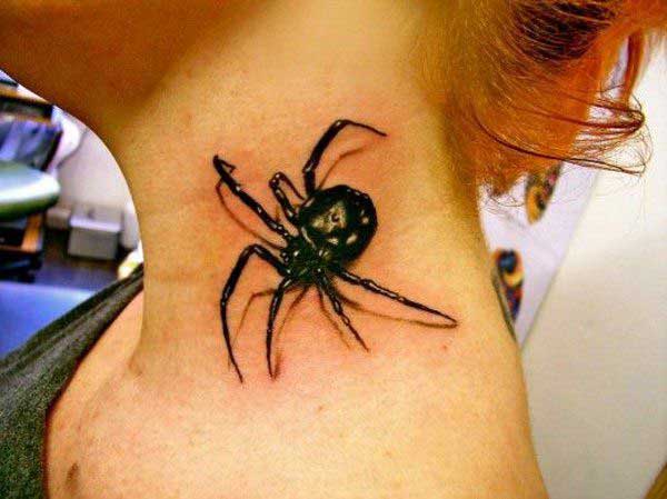 aranha aranha