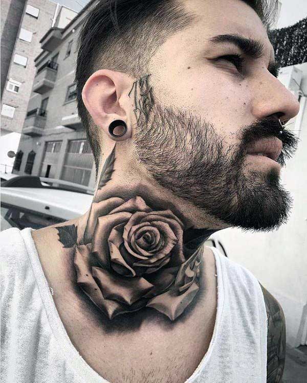rosa rosa