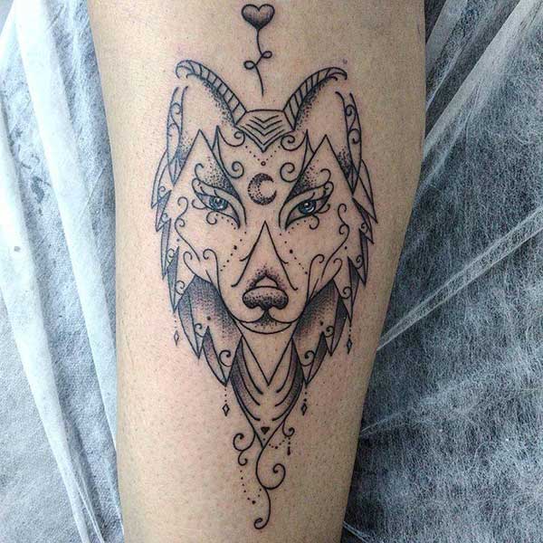 lobo lobo