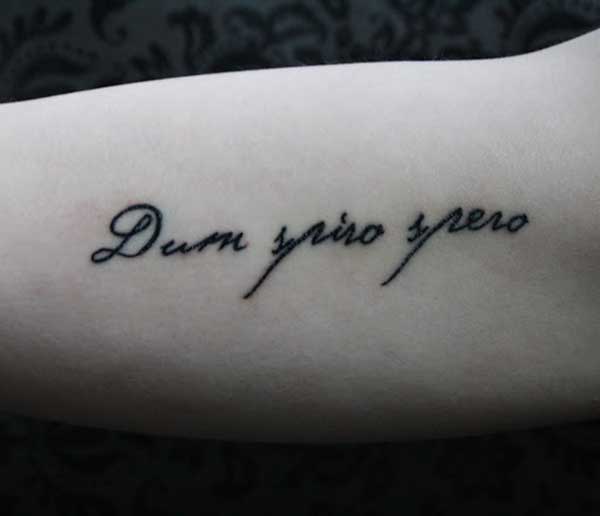 Frases em Latim para Tatuar 7 Frases em Latim para Tatuar 7