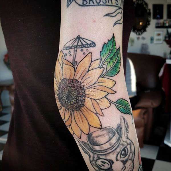 girasssol girasssol
