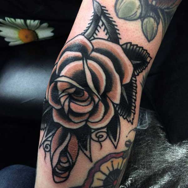 rosa rosa