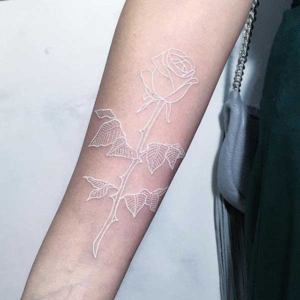 rosa tatuada rosa tatuada