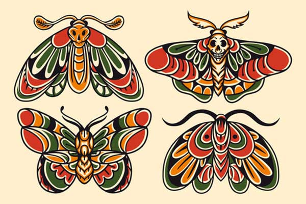 borboletas e mariposas borboletas e mariposas