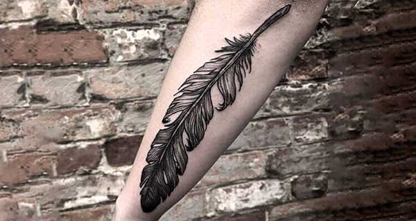 tatuagem de pena tatuagem de pena