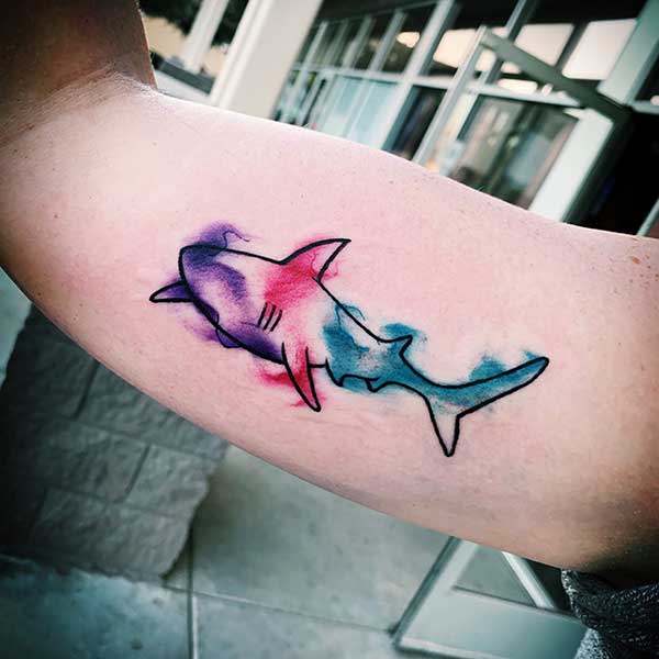 estilo aquarela 1 estilo aquarela 1