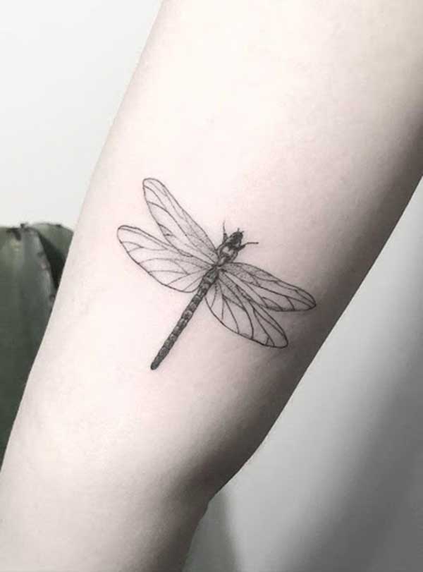 fotos de tatuagens de libelula fotos de tatuagens de libelula