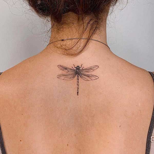 tattoo feminina de libelula tattoo feminina de libelula