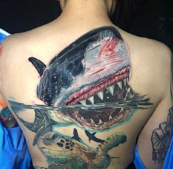 tattoos de tubarao nas costas tattoos de tubarao nas costas
