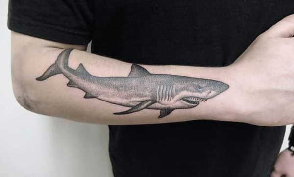 tattoos de tubaroes tattoos de tubaroes