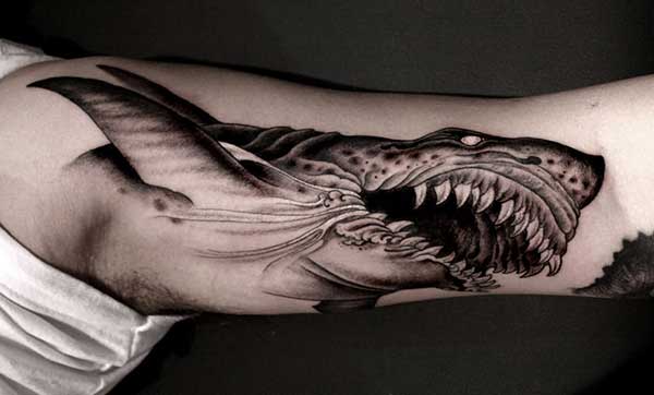 tatuagem masculina de tubarao tatuagem masculina de tubarao