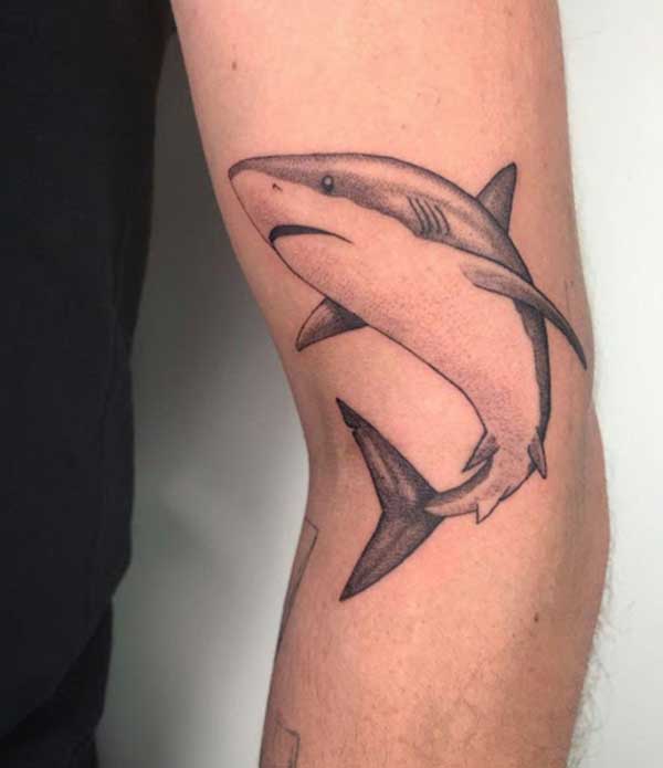 tatuagem masculina de tubaroes tatuagem masculina de tubaroes