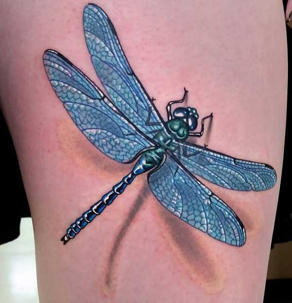 tatuagens de libelulas tatuagens de libelulas