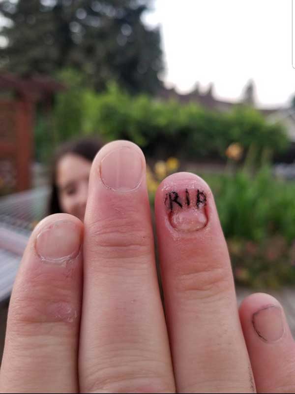 rip rip