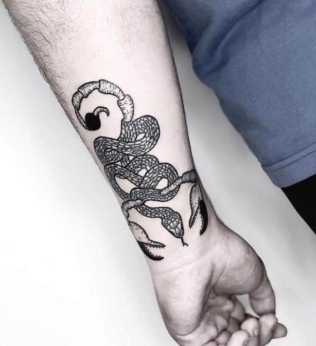 cobra com escorpiao cobra com escorpiao