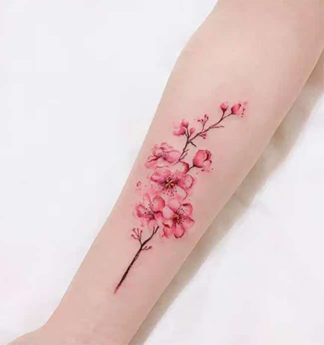 Tatuagem De Flor De Cerejeira Japonesa Tatuaje Dragón Y Flores De